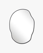 Silva Mirror